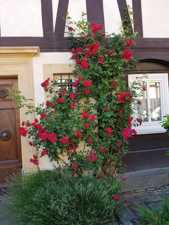 Fewo Niedere Muehlwiese Daire Großschönau Dış mekan fotoğraf